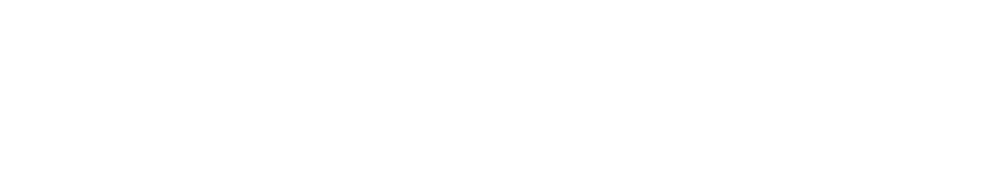 VISUM